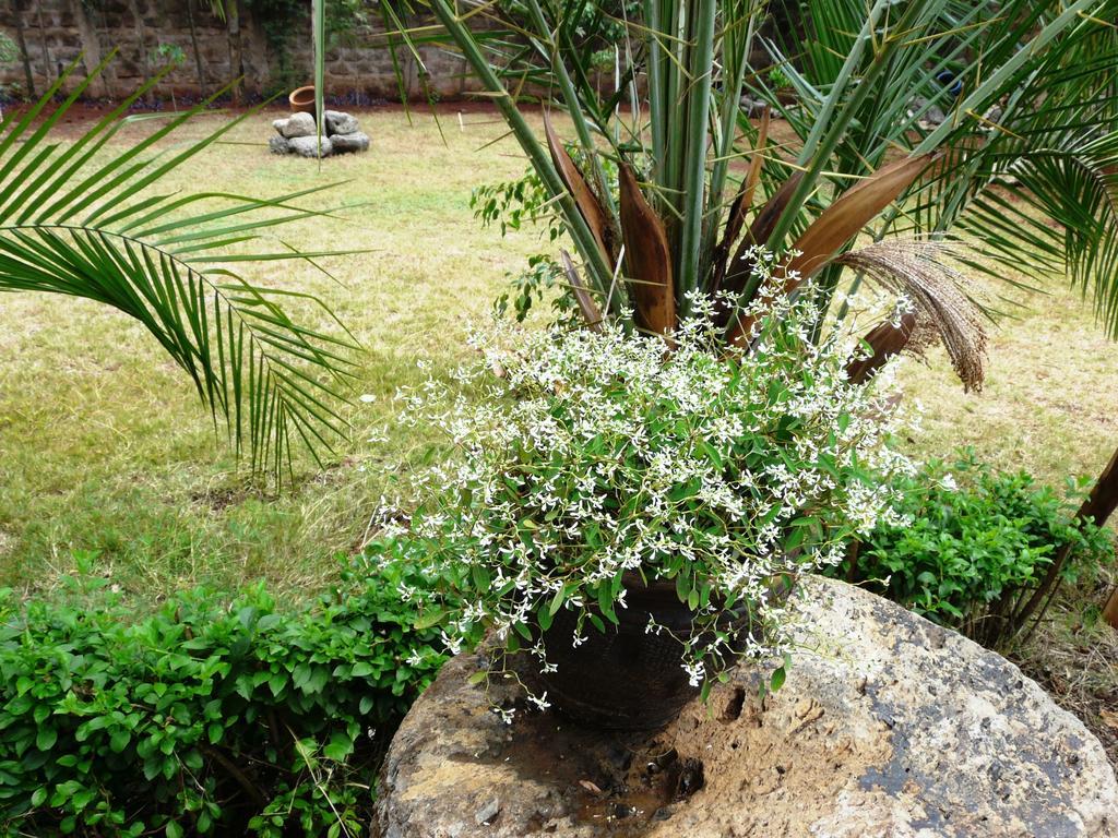 Maison Mitwaba Nairobi Ngoại thất bức ảnh