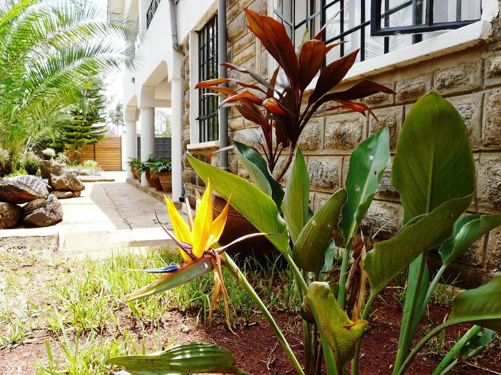 Maison Mitwaba Nairobi Ngoại thất bức ảnh